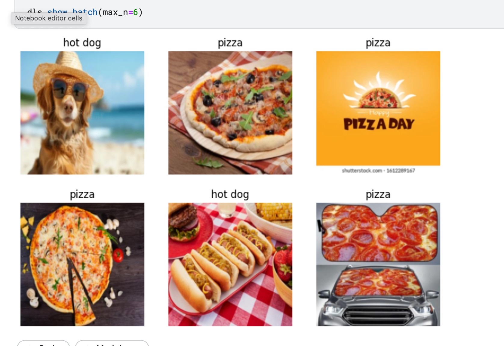 images of dogs and pizza and dog wearing hat in the sun